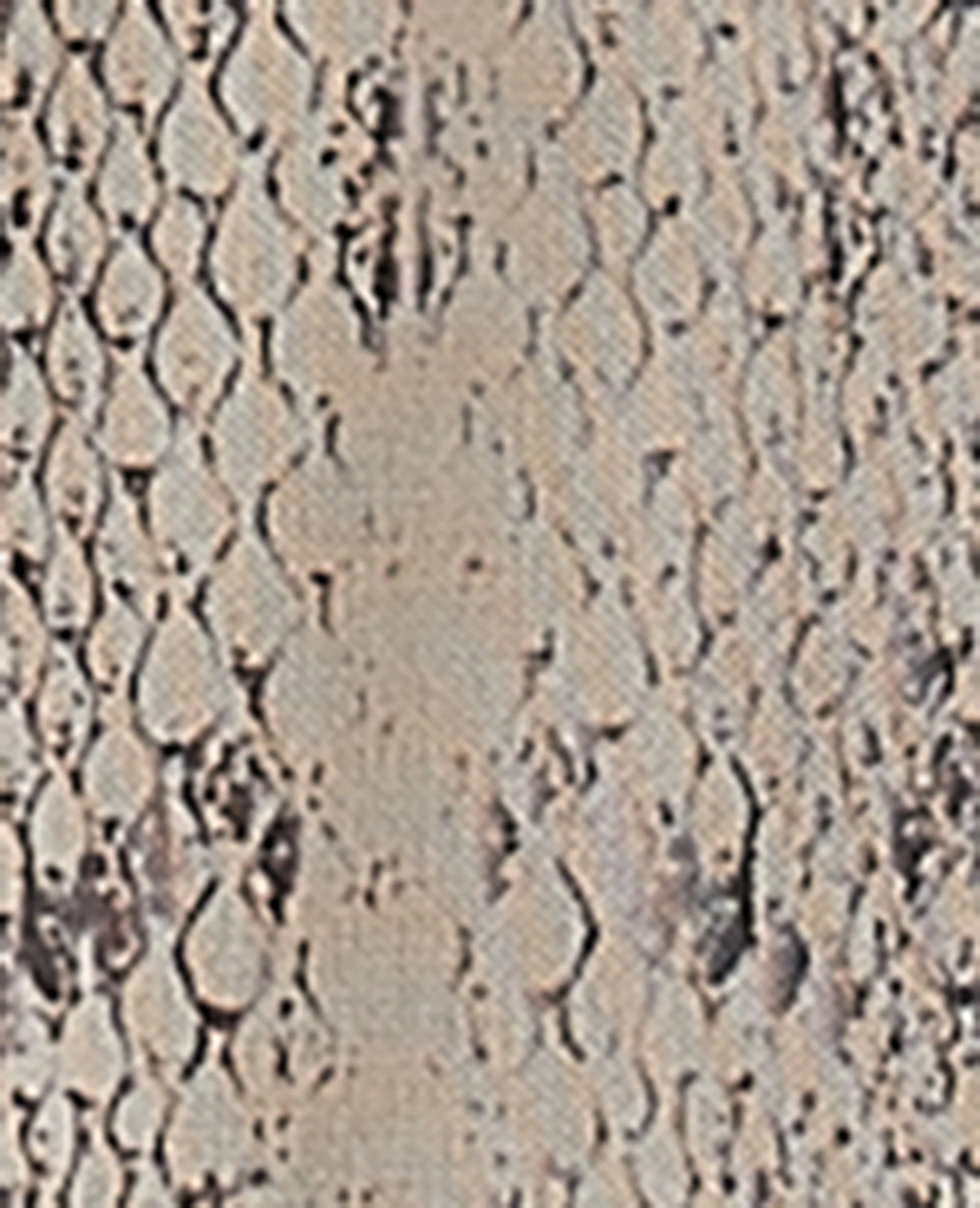 Top manches longues en résille motif python - Image 8